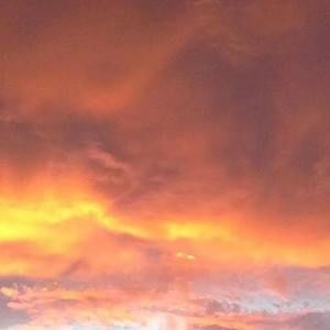 Meet your Posher, Alison